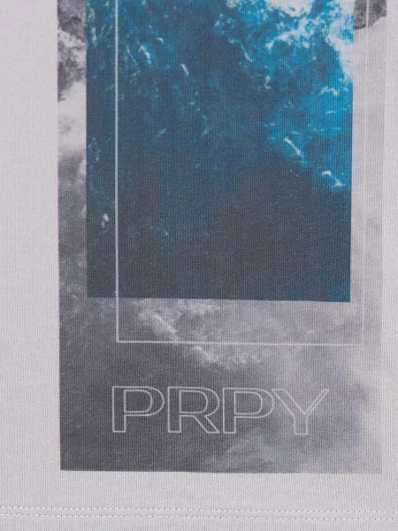 Футболка PRPY сірий
