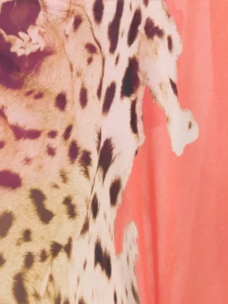Rochie Roberto Cavalli cu imagine cu model leopard