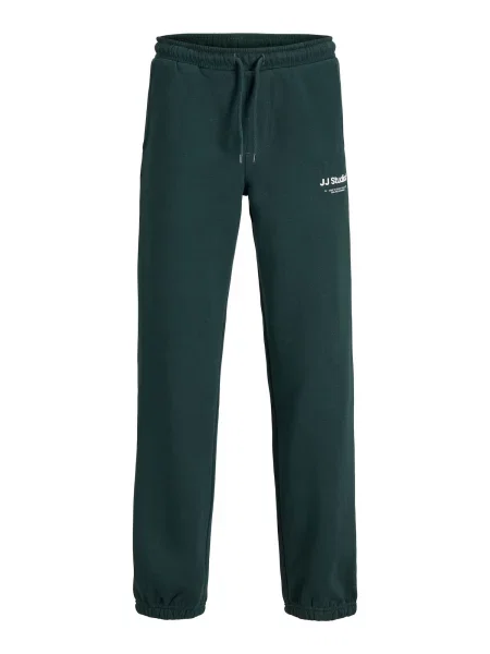 Jack & Jones Junior Hlače JPSTKane kraljevski zelena