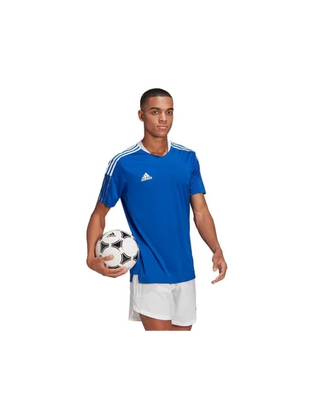 Majica Adidas plava