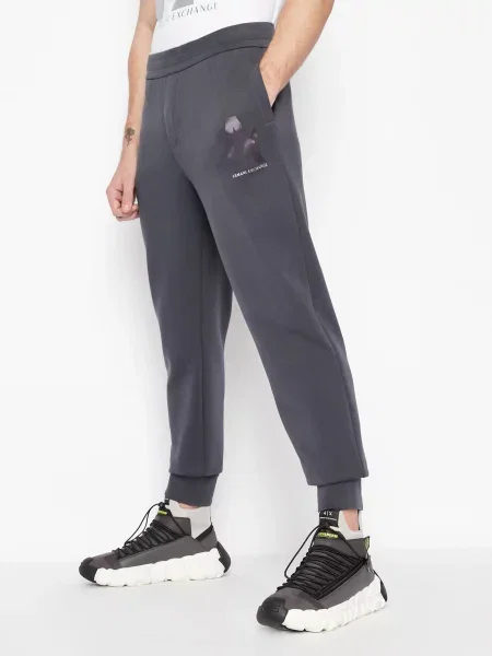 Спортивные штаны Armani Exchange серые