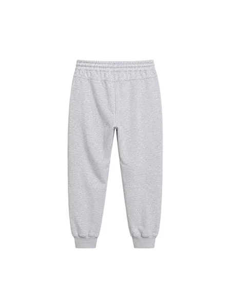 Pantaloni Lotto gri