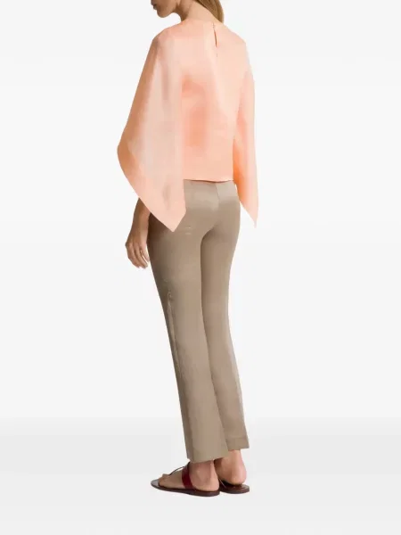 Pantaloni Alberta Ferretti gri
