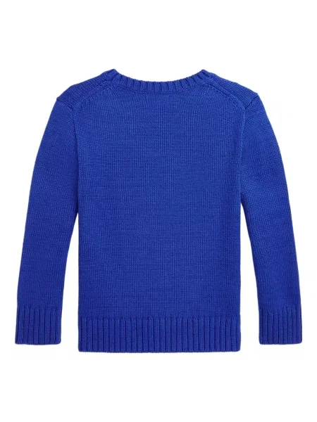 Koszulka polo dziecięca Polo Ralph Lauren niebieska