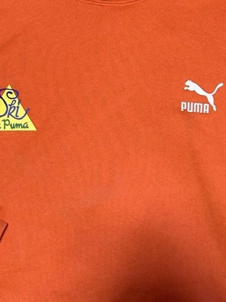 Hanorac cu glugă Puma portocaliu