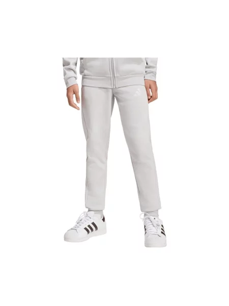 Nohavice Adidas sivá
