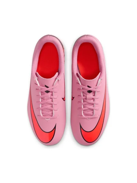 Pantofi Nike