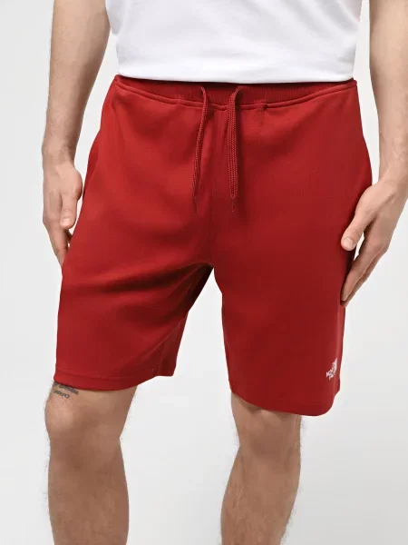 Повсякденні шорти The North Face M Graphic Short Light-Eu червоний