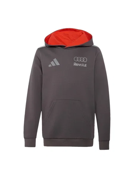 ADIDAS PERFORMANCE Αθλητική μπλούζα φούτερ / ανοικτό γκρι