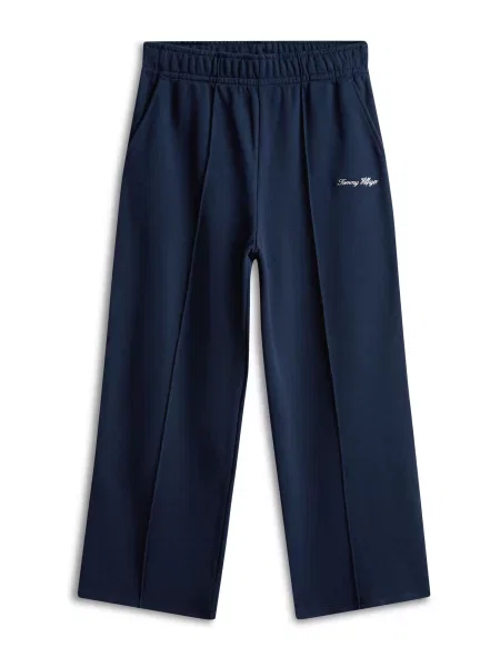 TOMMY HILFIGER Hlače mornarska / rdeča bela