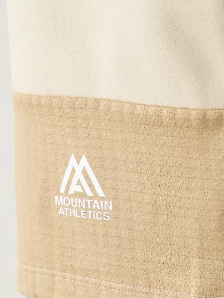 Флисовые спортивные шорты The North Face