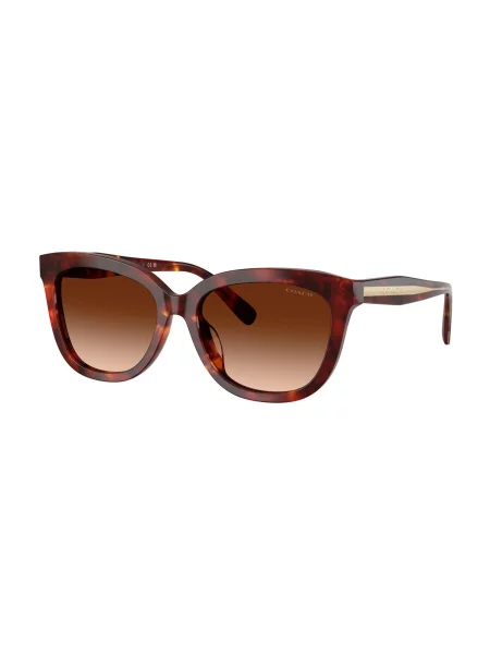 Coach Ochelari de soare maro