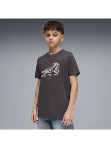 PUMA Młodzieżowa koszulka Manchester City × Year of the Horse Akcesoria szary