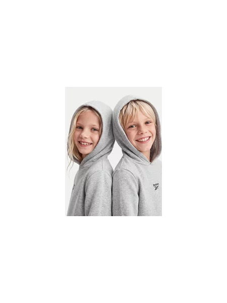 Reebok Melegítő ruha szett Regular Fit szürke
