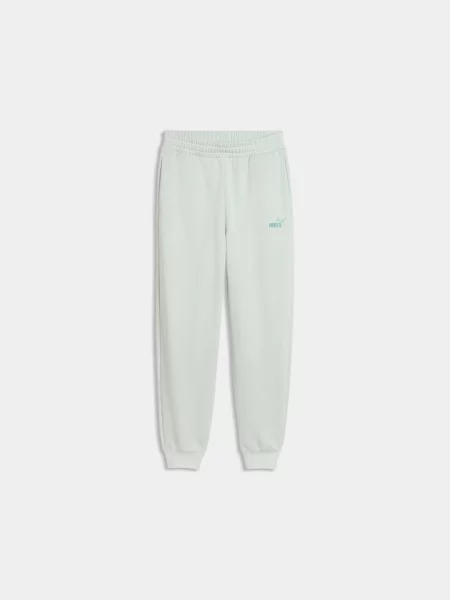 Спортивні штани PUMA Ess No. 1 Logo Sweatpants комбінований верх зелений
