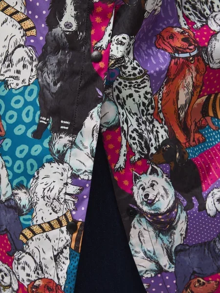 Medicine дощовик