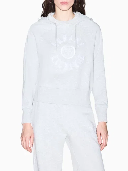 Худи Armani Exchange серое