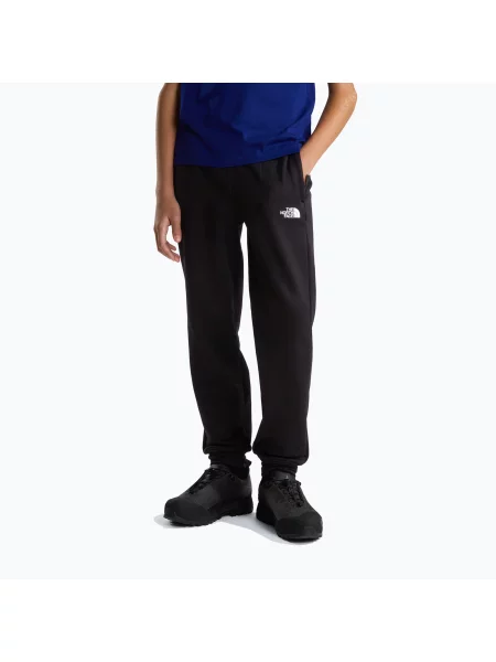 Pantaloni pentru bărbați The North Face Performance Fleece Jogger tnf black negru