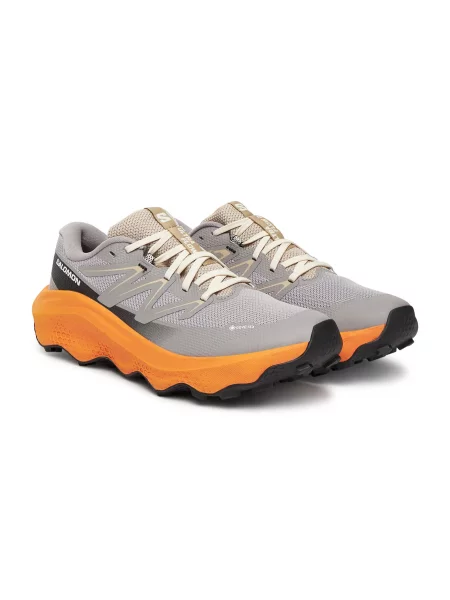 Salomon Ultra Flow 2 GTX Mężczyźni Buty sportowe Salomon Size: szary