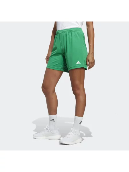 Szorty Adidas zielone