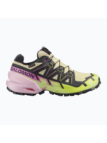 Încălțăminte de alergare pentru femei Salomon Speedcross 6 GTX bog/dawn pink roz