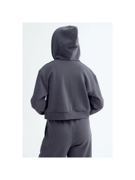 Спортивные штаны Es8 серые