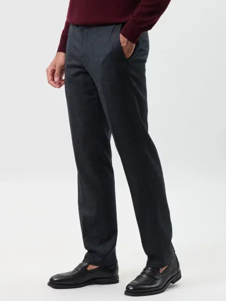 Штани Berwich сірі