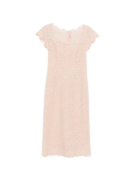 Rochie midi Ermanno Scervino din dantelă până la genunchi de costum roz