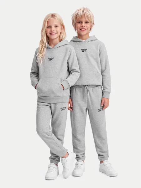 Детский спортивный костюм Reebok серый