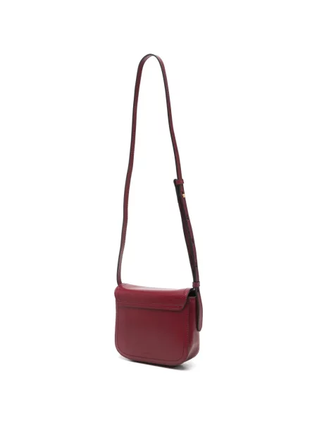 Geanta crossbody The Bridge din piele roșu