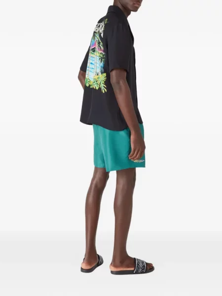 Slip de baie Casablanca cu broderie verde