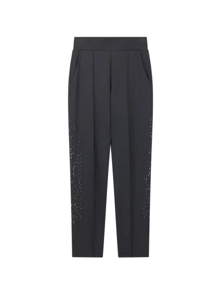 Stras pantaloni Ea7 Emporio Armani gri