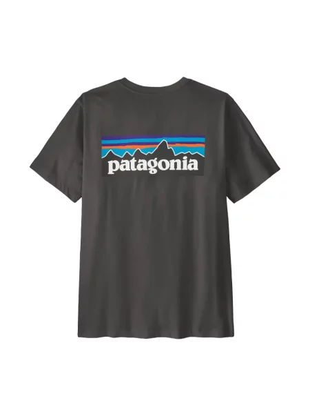 Grafic tricou Patagonia gri
