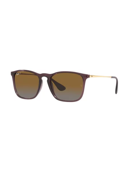 Ray-Ban Sluneční Brýle Chris hnědá/ hnědá/ polarizovaná šedá