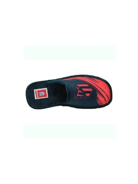 Pantofi Andinas albastru