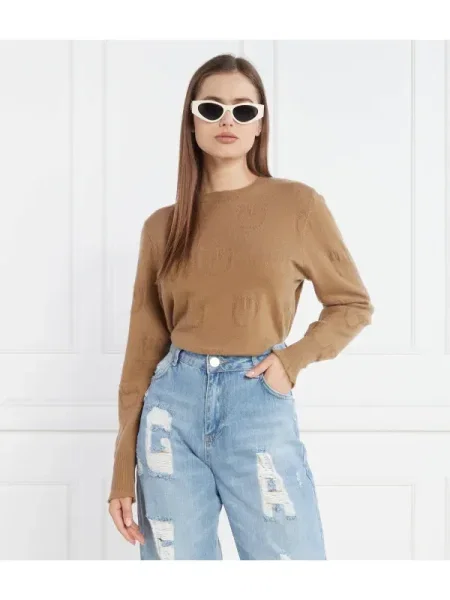 Pinko De cașmir pulover maro