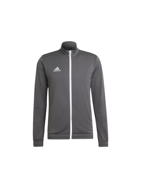 Vesta Adidas siva