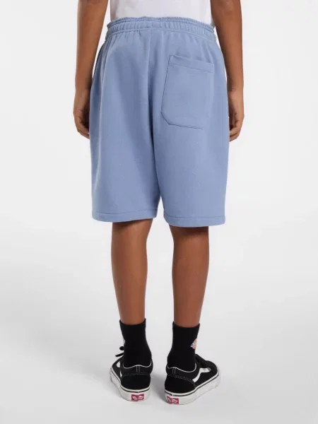Повседневные шорты Dickies голубые
