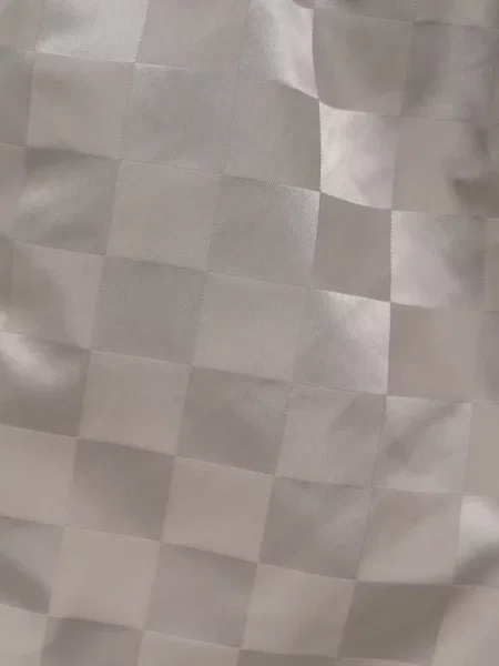 Pledinės su raišteliu šortai Fear Of God Essentials