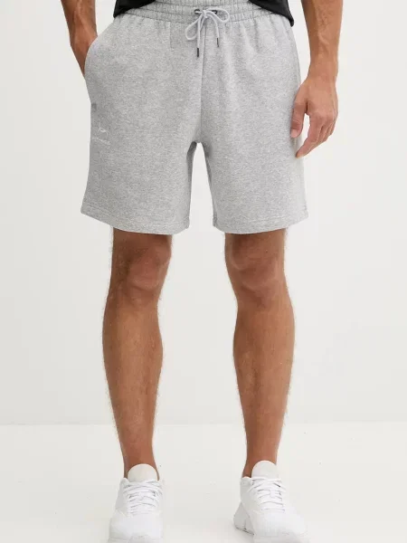 Pánske šortky Under Armour Icon Fleece mod gray light heather/white sivá