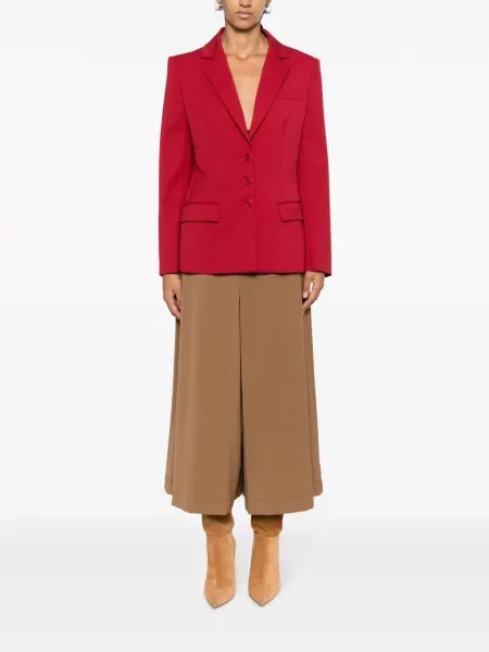 Švarkas Alberta Ferretti