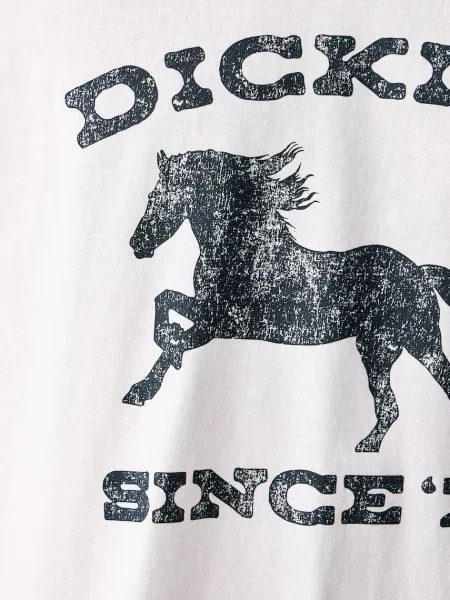 Dickies футболка