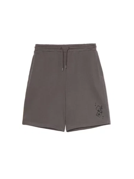Спортивные шорты Cropp серые