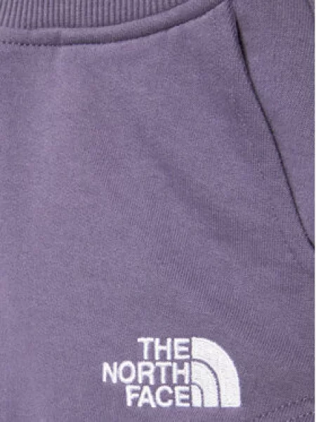 The North Face Sportiniai šortai violetinė