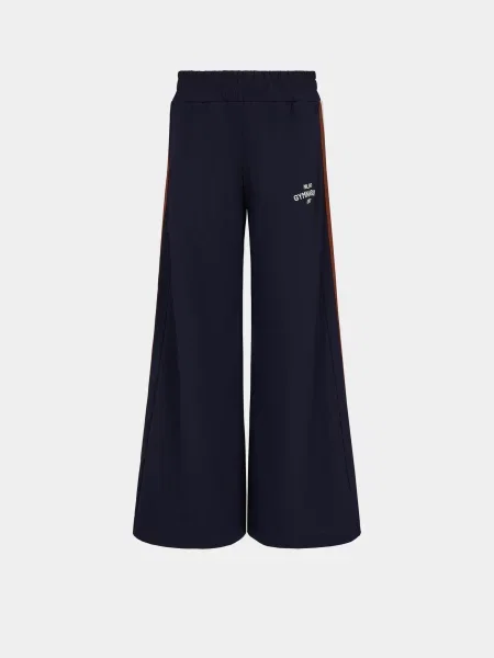 Спортивные штаны Ea7 синие