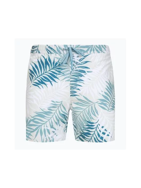 Шорти для плавання Quiksilver Wild Fern Volley