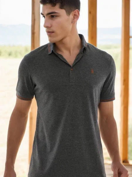 Поло тениска Dewberry сиво