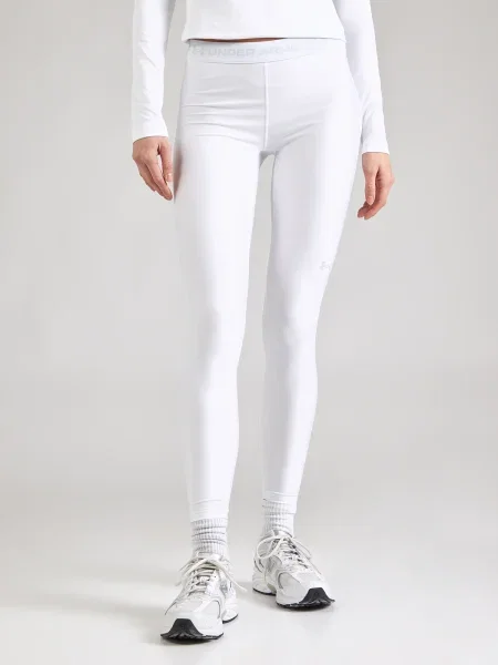 Dresuri Under Armour gri