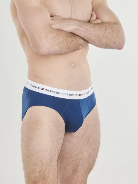 Gaćice Tommy Hilfiger