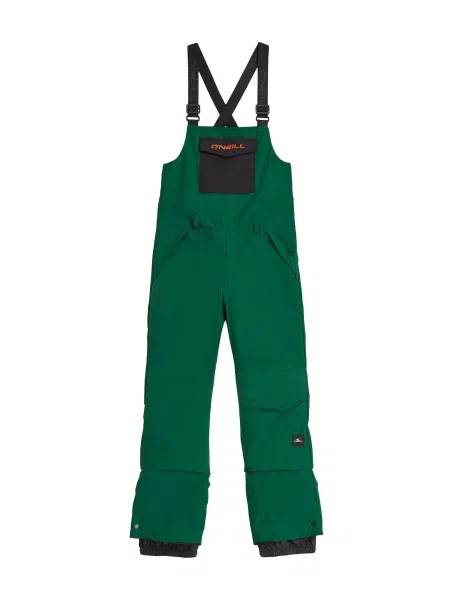 O'NEILL Pantaloni outdoor pin verde